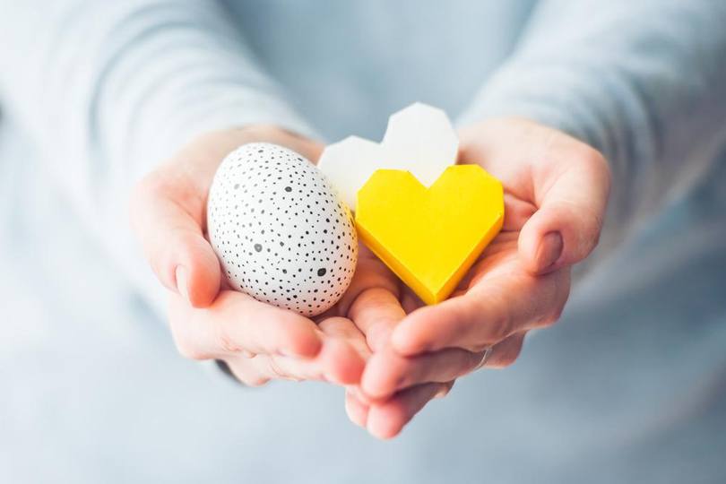 Донація яйцеклітин: як це працює