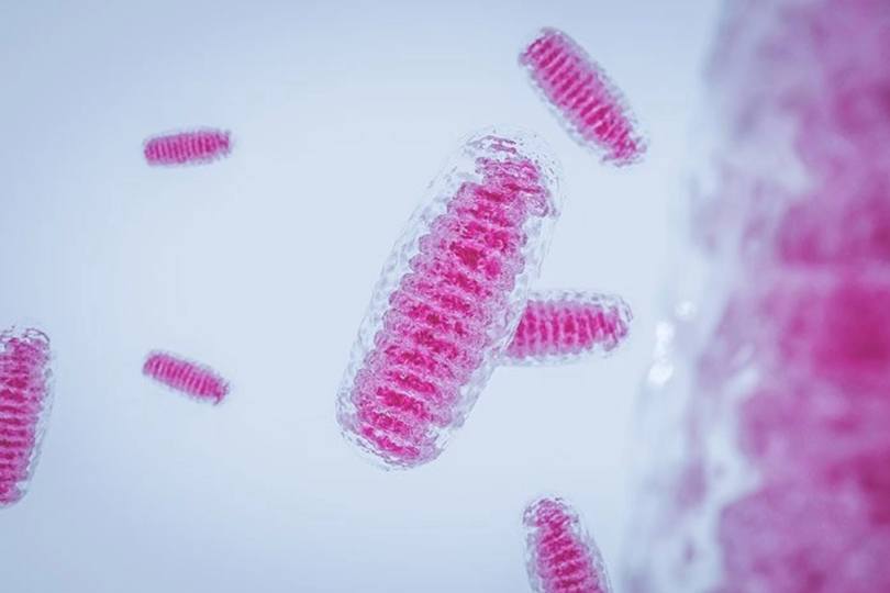 Сурогатне материнство без ілюзій