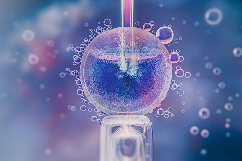 Що таке ЕКЗ з донорськими яйцеклітинами